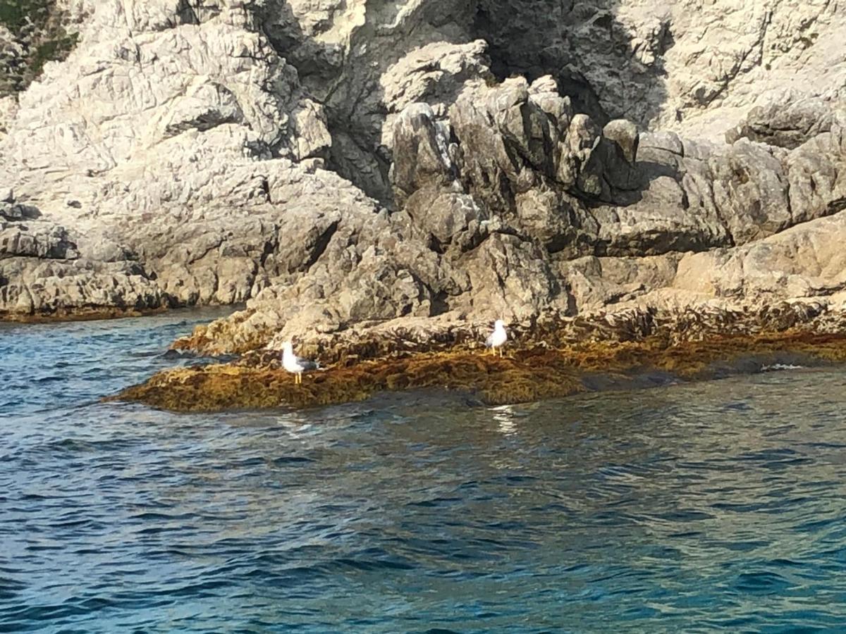 Villa Rosa Tropea Εξωτερικό φωτογραφία
